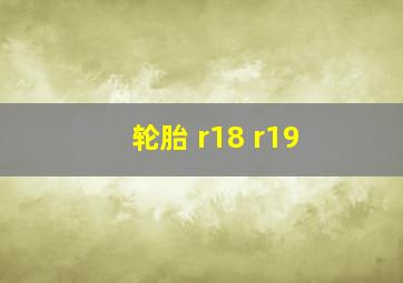 轮胎 r18 r19